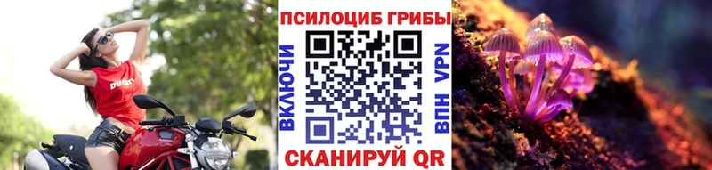 Купить закладки  Усолье-Сибирское  Галлюциногенные грибы MAGIC MUSHROOMS 