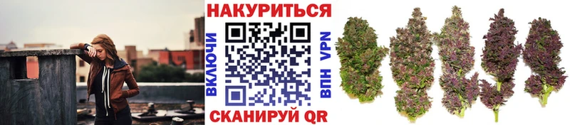Купить где  Усолье-Сибирское  Бошки Шишки сатива 